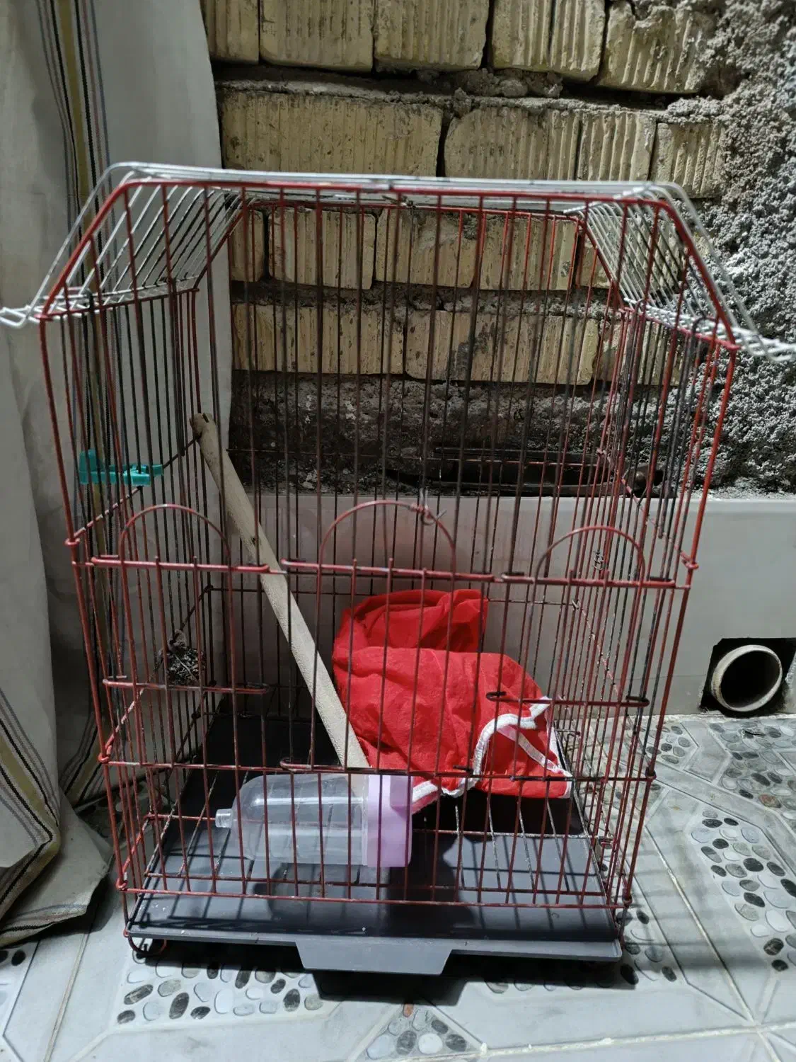 قفس عروس هلندی دست دوم|لوازم جانبی حیوانات|مرودشت, استادیوم‎|دیوار