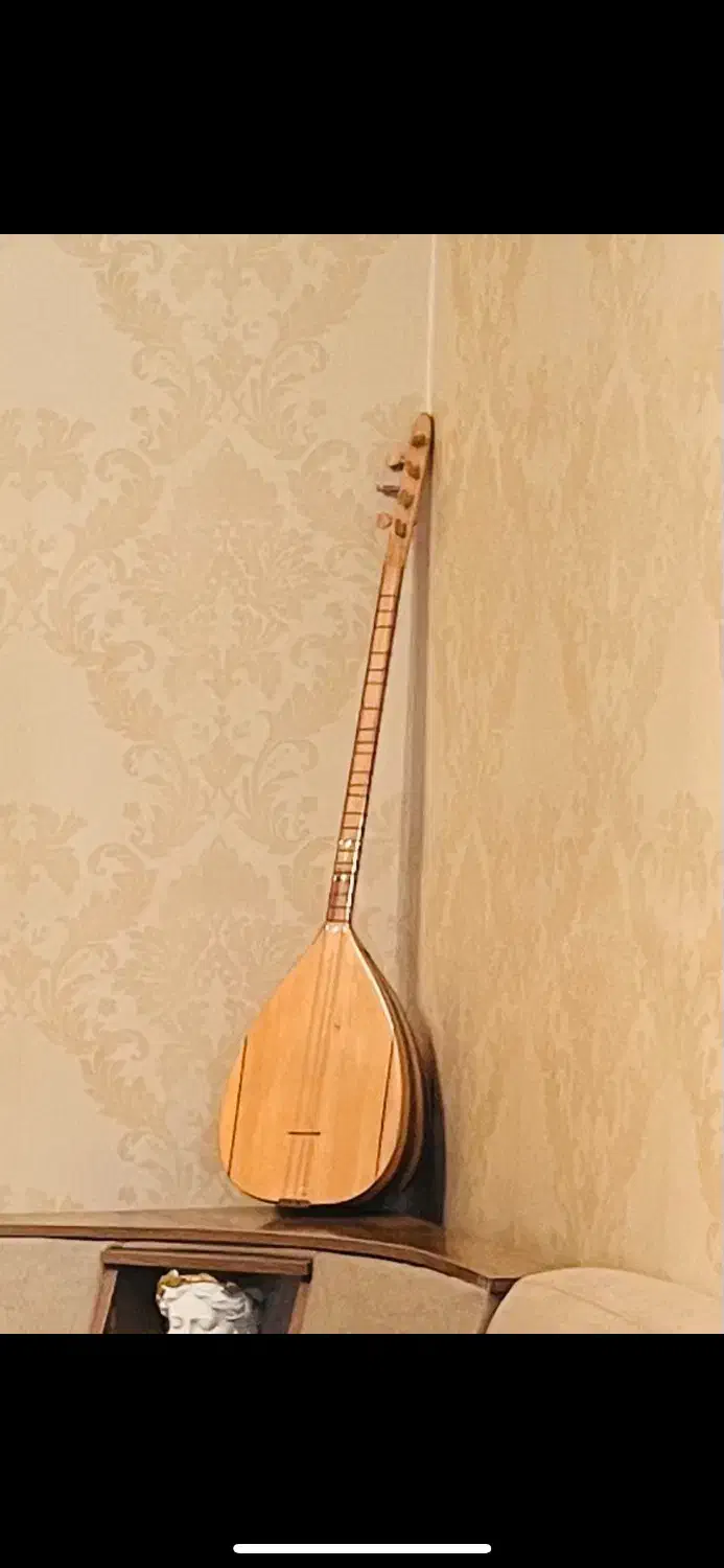 ساز حرفه ای / عاشیق|سازهای سنتی|پلدشت, |دیوار