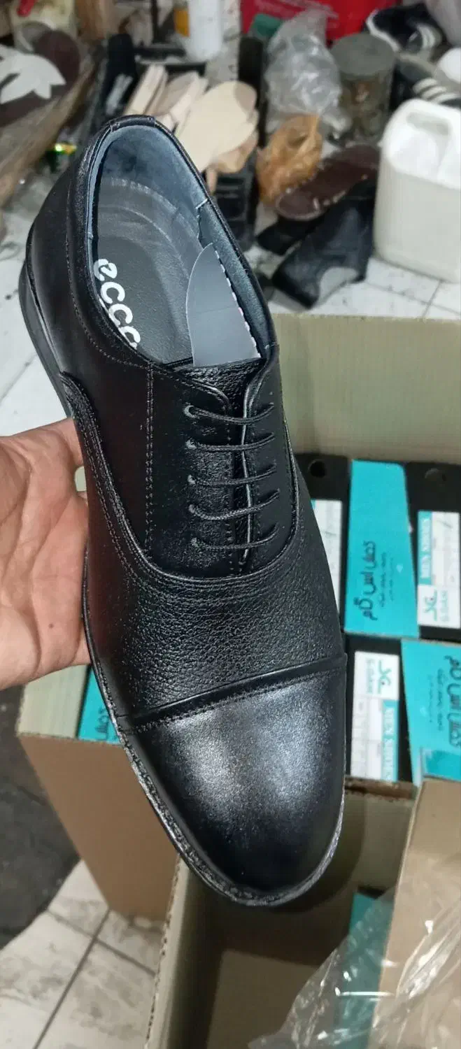 کفش مدل ارس ساده بندی عمده|کیف، کفش، کمربند|اصفهان, دانشگاه افسری امیرالمومنین|دیوار