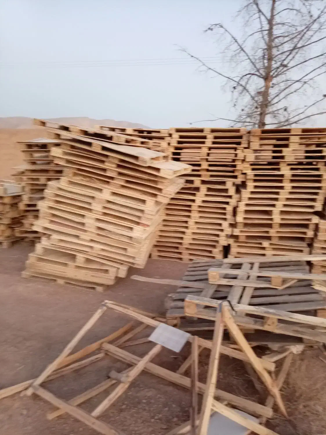 پالت هفت لایه|عمده‌فروشی|زیباشهر, |دیوار