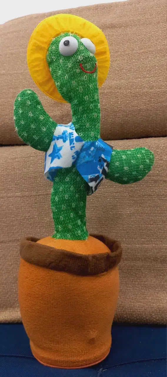 کاکتوس اسباب بازی|اسباببازی|طبس, |دیوار