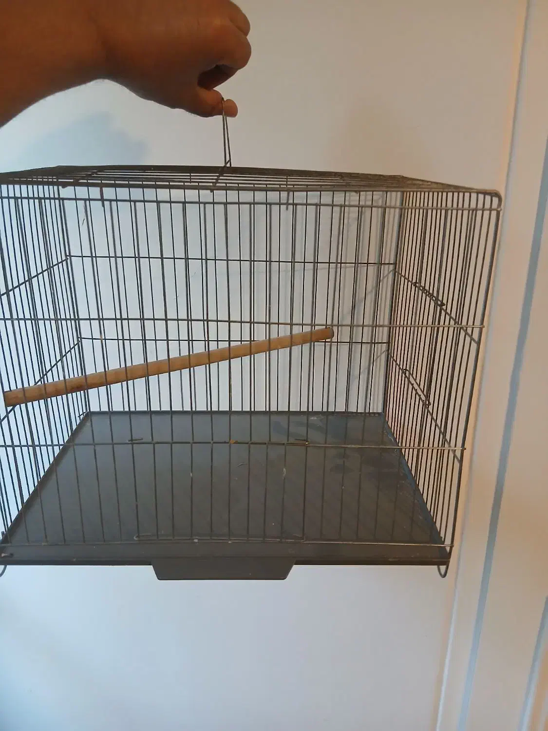 قفس پرنده سهره قناری فنچ مرغ عشق عروس طوطی برزیلی|لوازم جانبی حیوانات|تهران, مدائن|دیوار