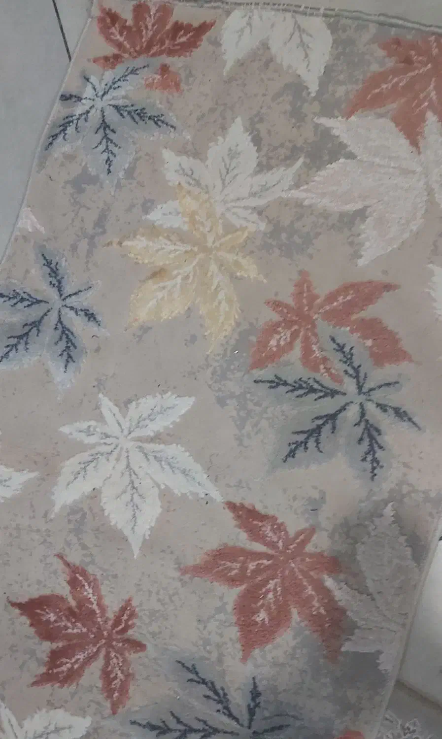 موکت کناره|موکت|مشهد, گوهرشاد|دیوار