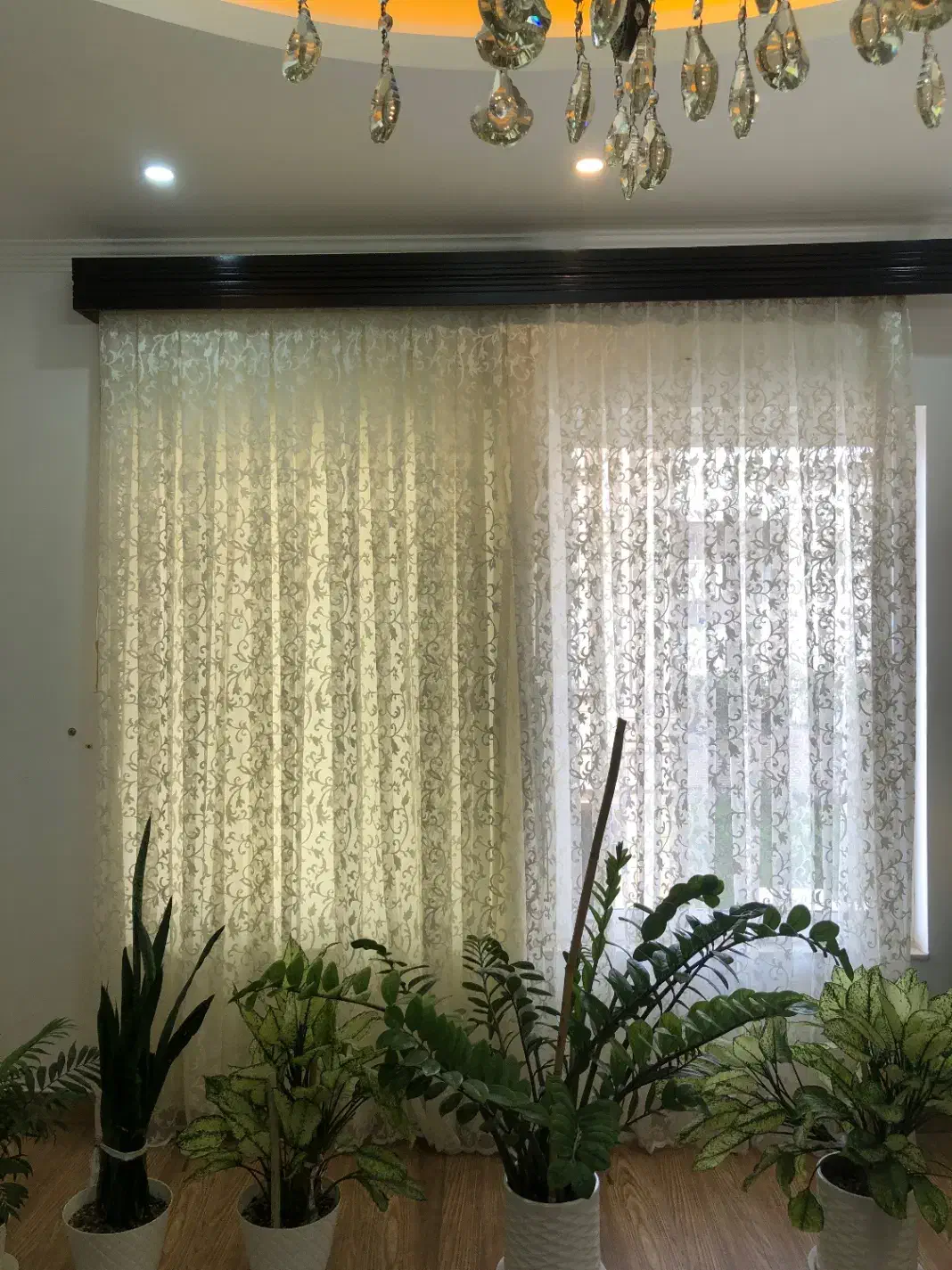 پرده پزیرایی|پرده، رانر، رومیزی|ساری, |دیوار