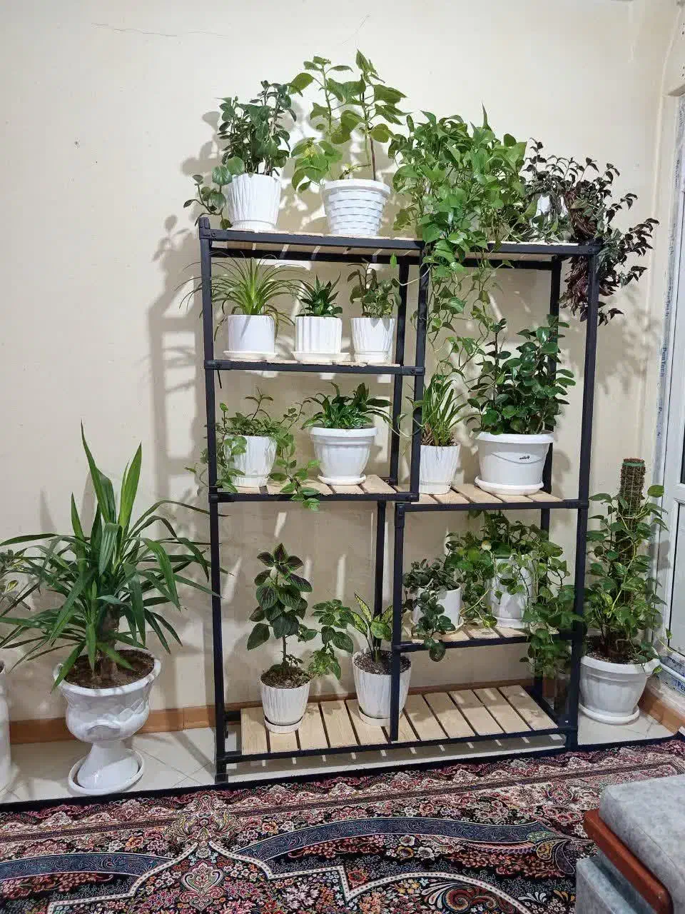 استند گل|گل و گیاه طبیعی|پردیس, فاز ۴|دیوار