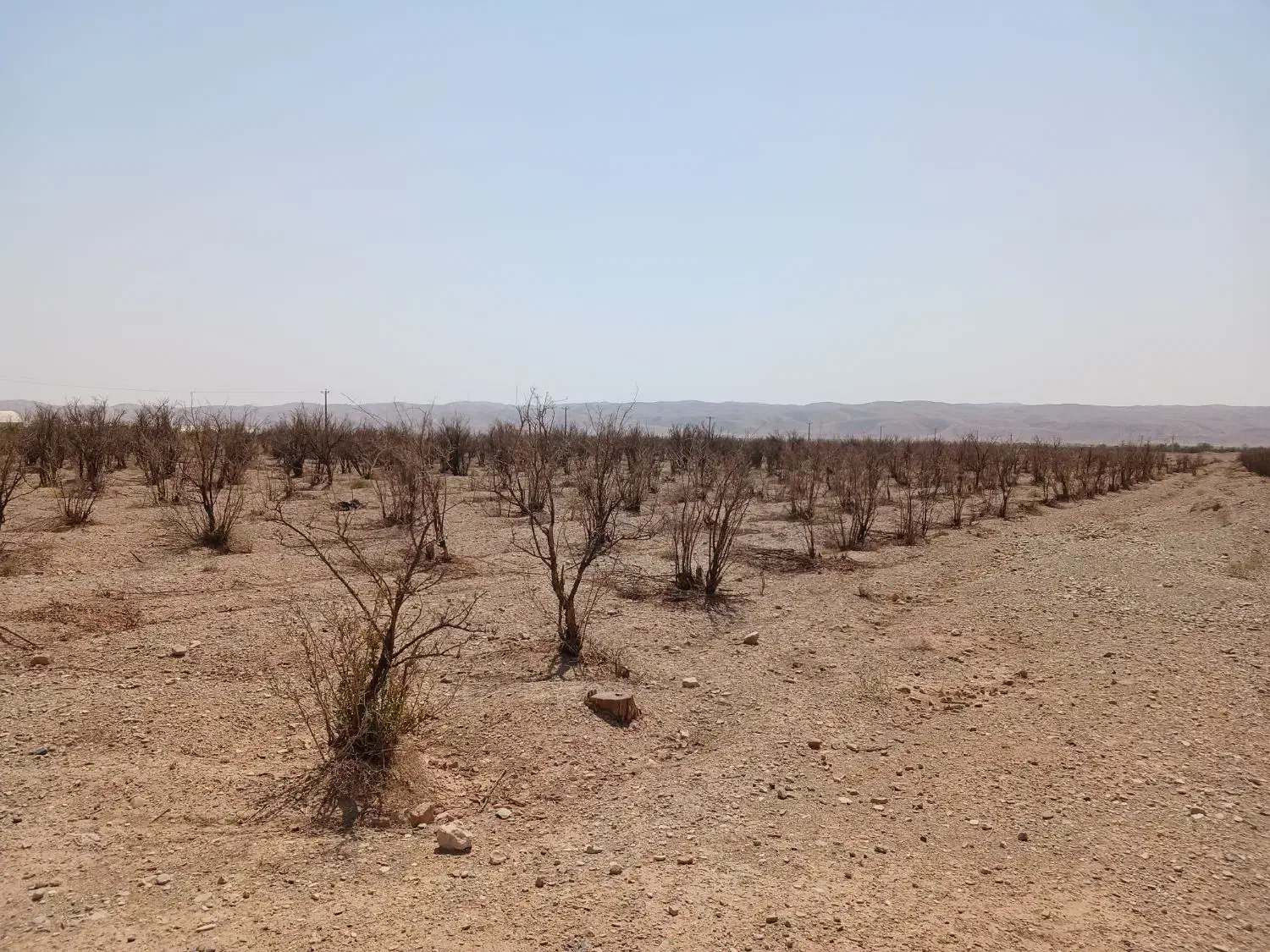 ۱۵۰۰ متر زمین سند تک برگ|فروش زمین و ملک کلنگی|ایوانکی, |دیوار