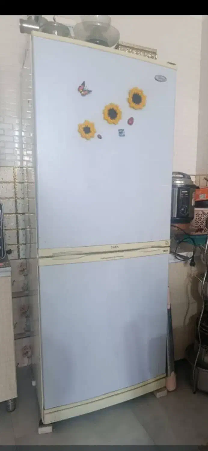 یخچال بوژان|یخچال و فریزر|رومشکان, |دیوار