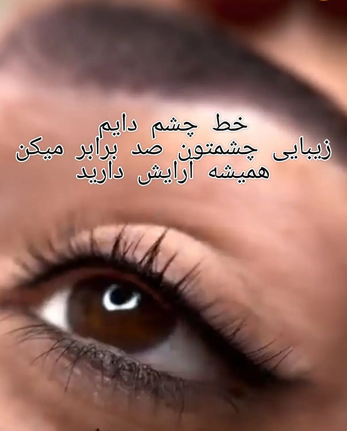 شینیون درفردیس ورنگ مودر فردیس وپروتین|خدمات آرایشگری و زیبایی|فردیس, فردیس|دیوار