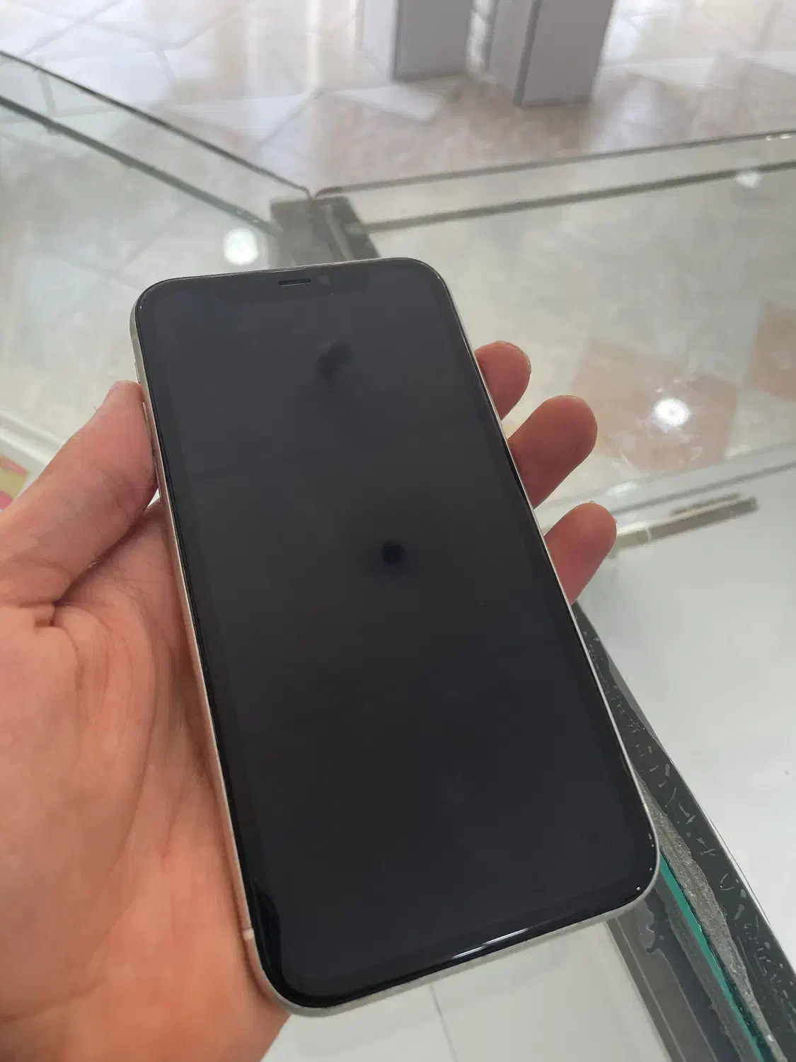 ایفون 11 normal|موبایل|گله دار, |دیوار