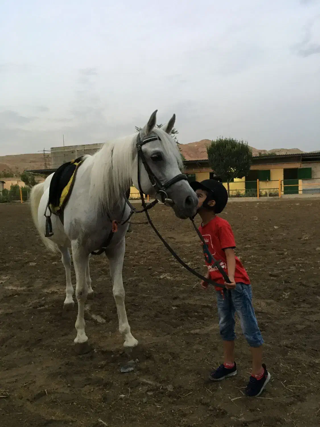 نعل اسب کار کرده دونه ی صدو هفتاد|اسب و تجهیزات اسب‌سواری|محمدشهر, همایون ویلا|دیوار