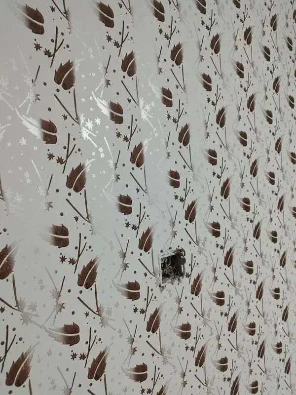 در طرح های جدید کاغذ دیواری|خدمات پیشه و مهارت|مرند, |دیوار