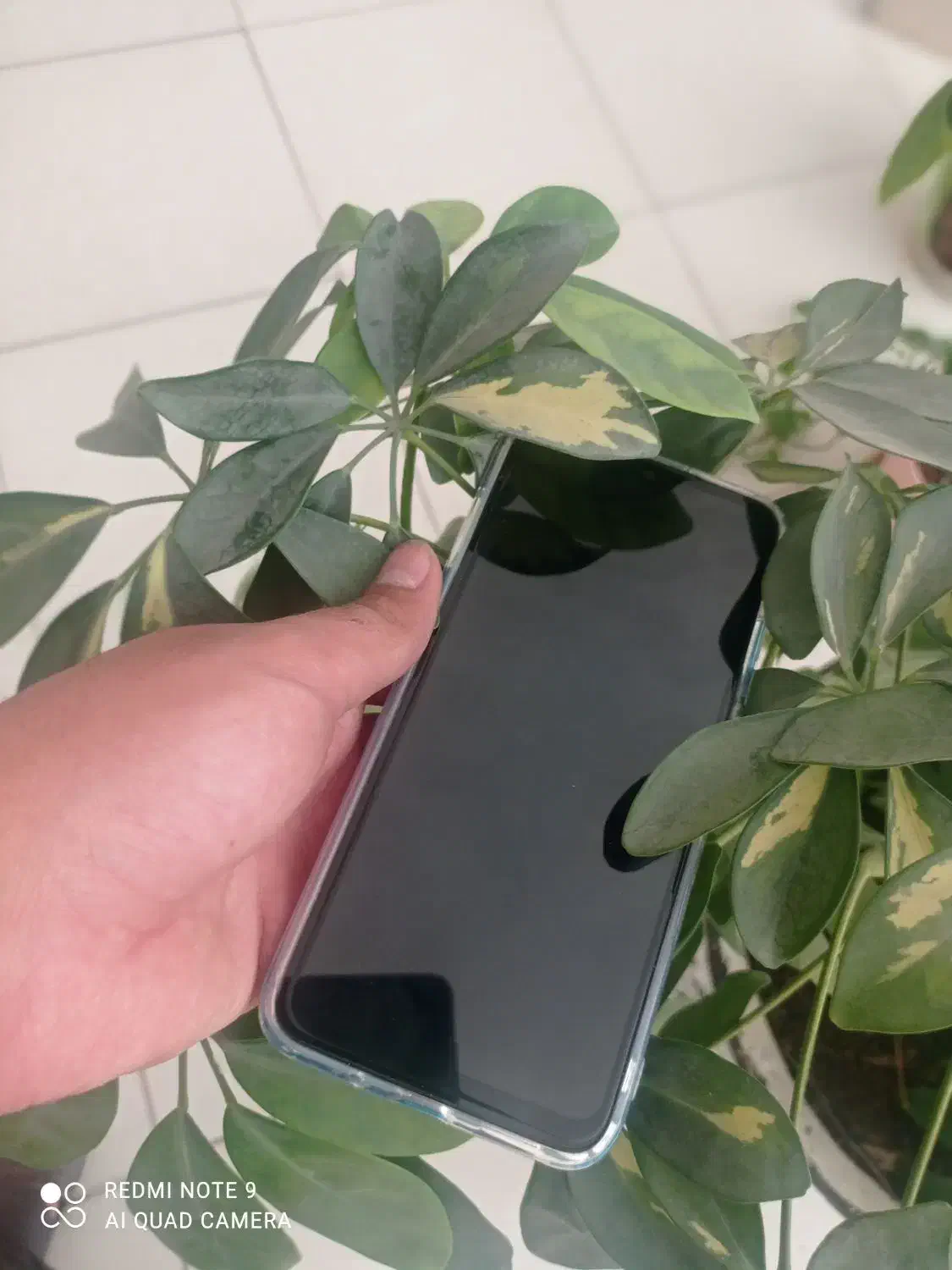 شیائومیRedmi not9A|موبایل|فولادشهر, C2|دیوار