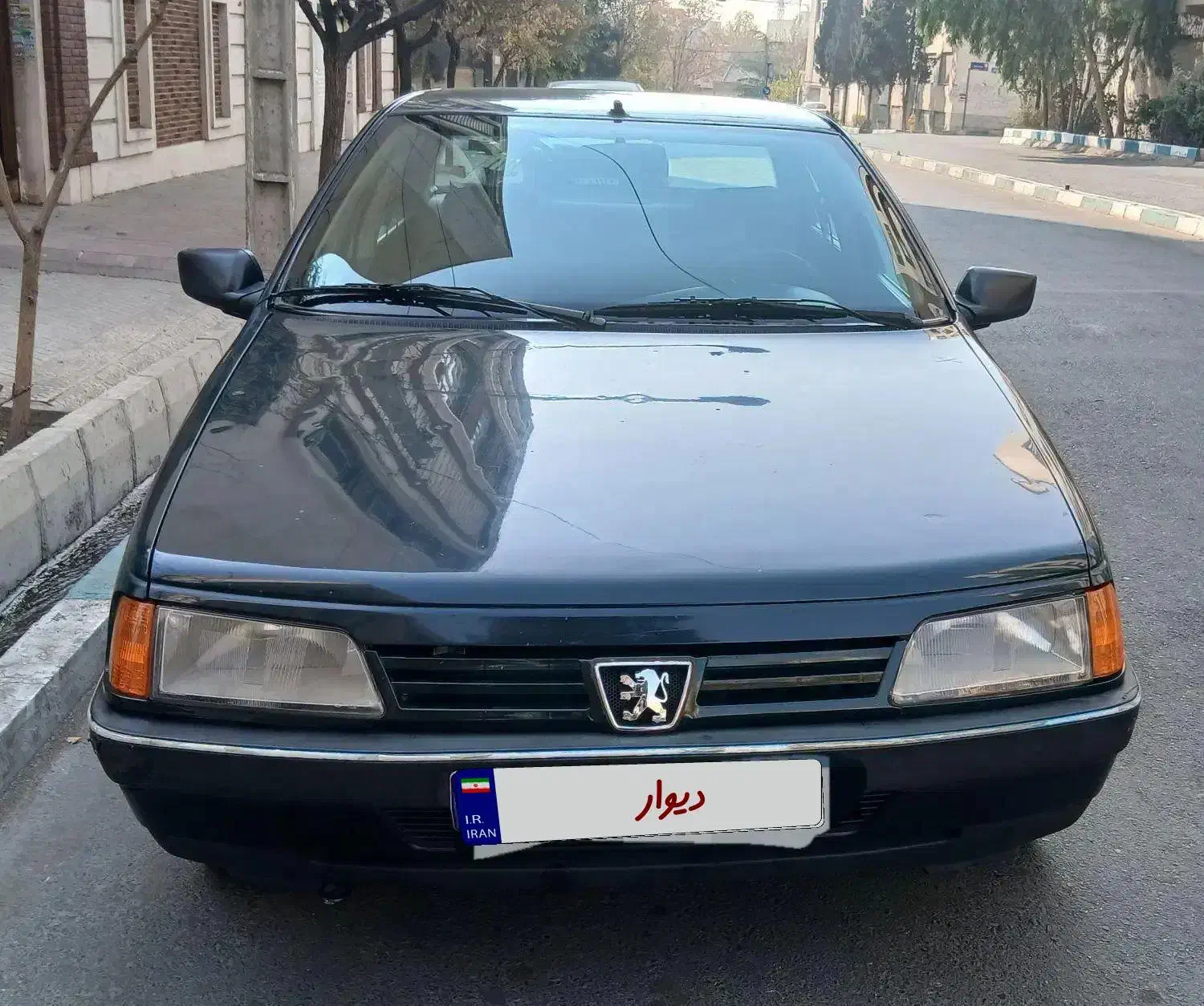 پژو آردی آی انژکتور|خودرو سواری و وانت|تهران, آرژانتین|دیوار