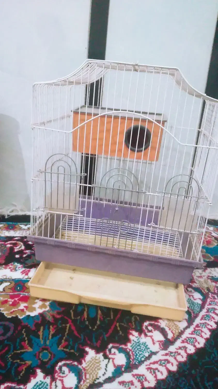 توری|مصالح و تجهیزات ساختمان|خواف, |دیوار