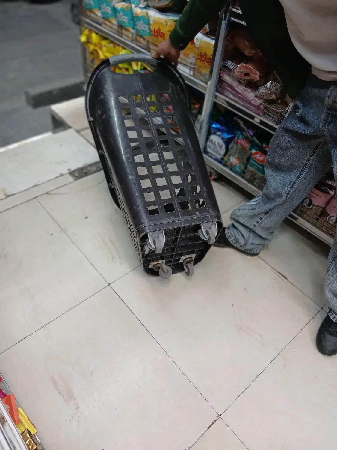 سبد فروشگاهی|فروشگاه و مغازه|تهران, اقدسیه|دیوار