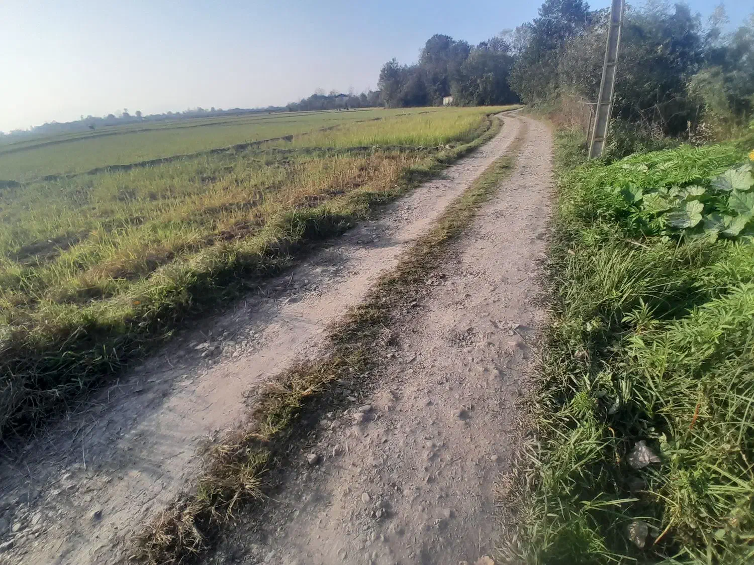 زمین شخصی واقع در شفت|فروش زمین و ملک کلنگی|رشت, بازار|دیوار