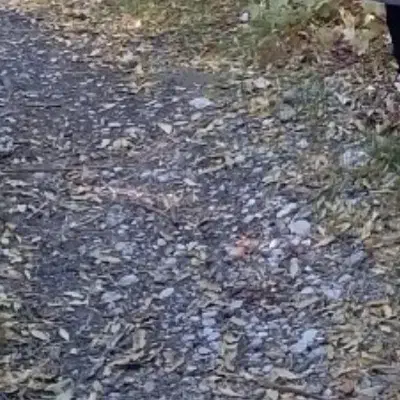 زمین مسکونی شهرک سرگز دارای پروانه ساخت|فروش زمین و ملک کلنگی|احمدی, |دیوار