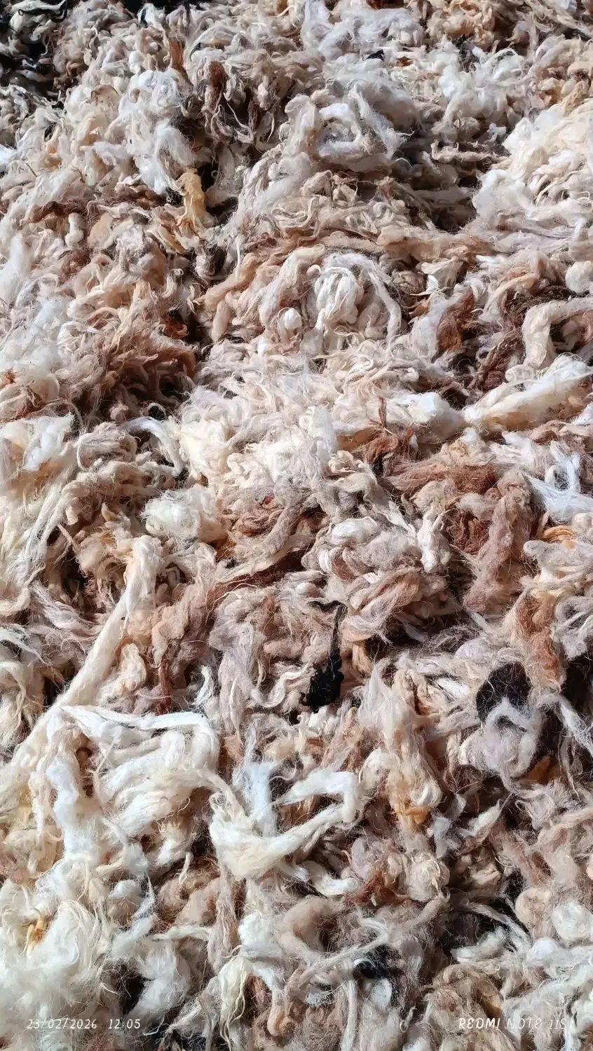 پشم شسته|رختخواب، بالش، پتو|بجنورد, |دیوار