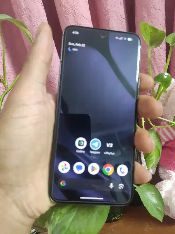 گوگل پیکسل ۸|موبایل|مشهد, فاطمیه|دیوار