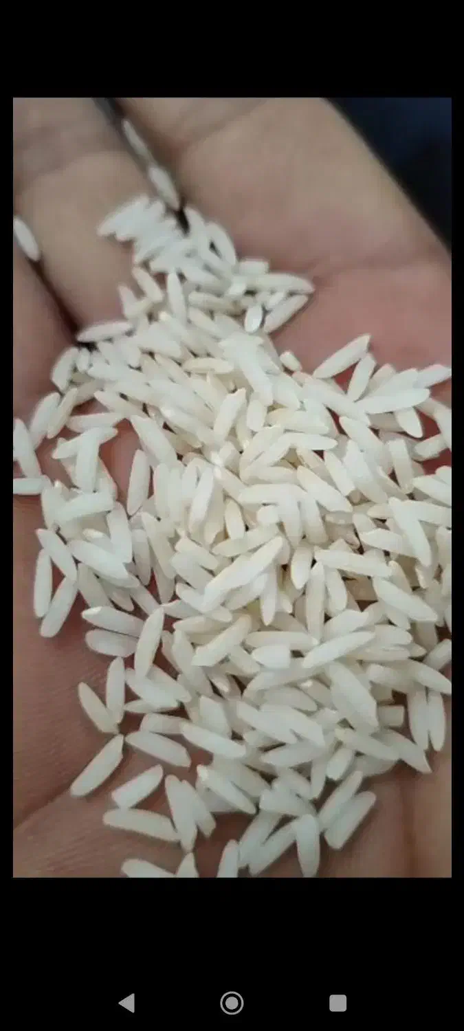 بازرگانی برنج علیزاده|خوردنی و آشامیدنی|قائم‌شهر, |دیوار