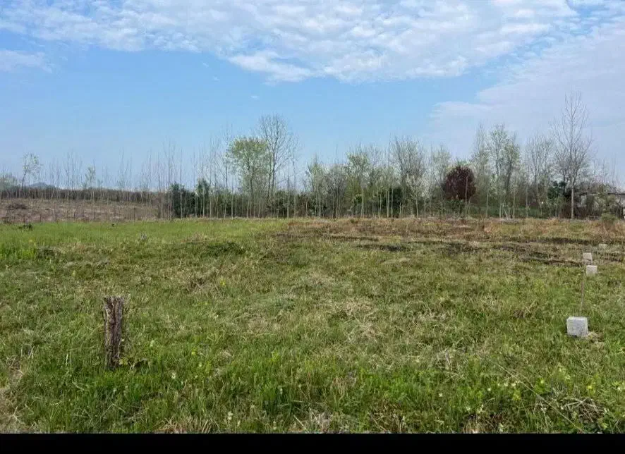 زمین باغی به متراژ ۵۰۰متر|فروش زمین و ملک کلنگی|املش, |دیوار