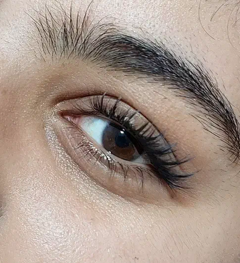 کاشت مژه با بهترین متریال|خدمات آرایشگری و زیبایی|رشت, معلم|دیوار