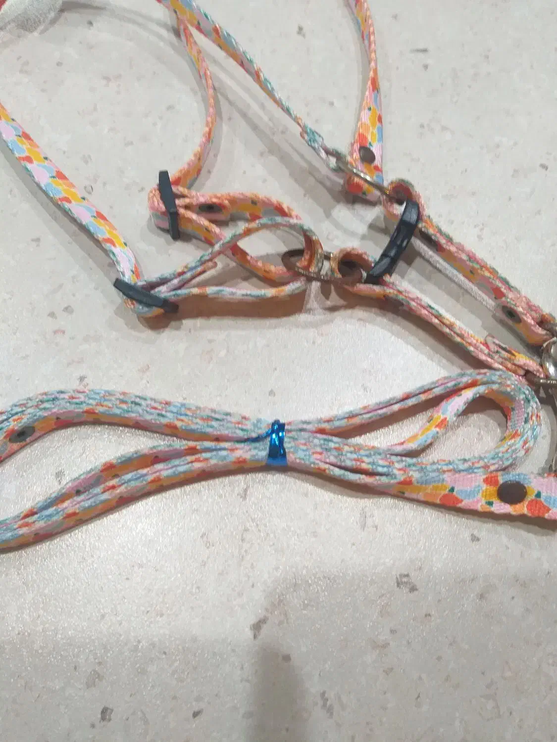 قلاده کنفی|لوازم جانبی حیوانات|تهران, مجیدآباد|دیوار