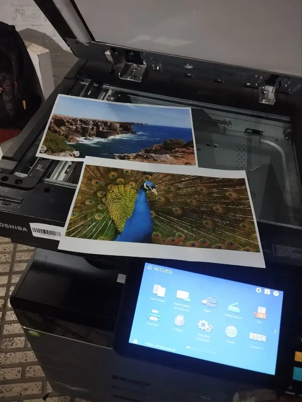 کپی رنگی توشیبا 300.2505.3505|پرینتر، اسکنر، کپی، فکس|قم, جهان بینی|دیوار