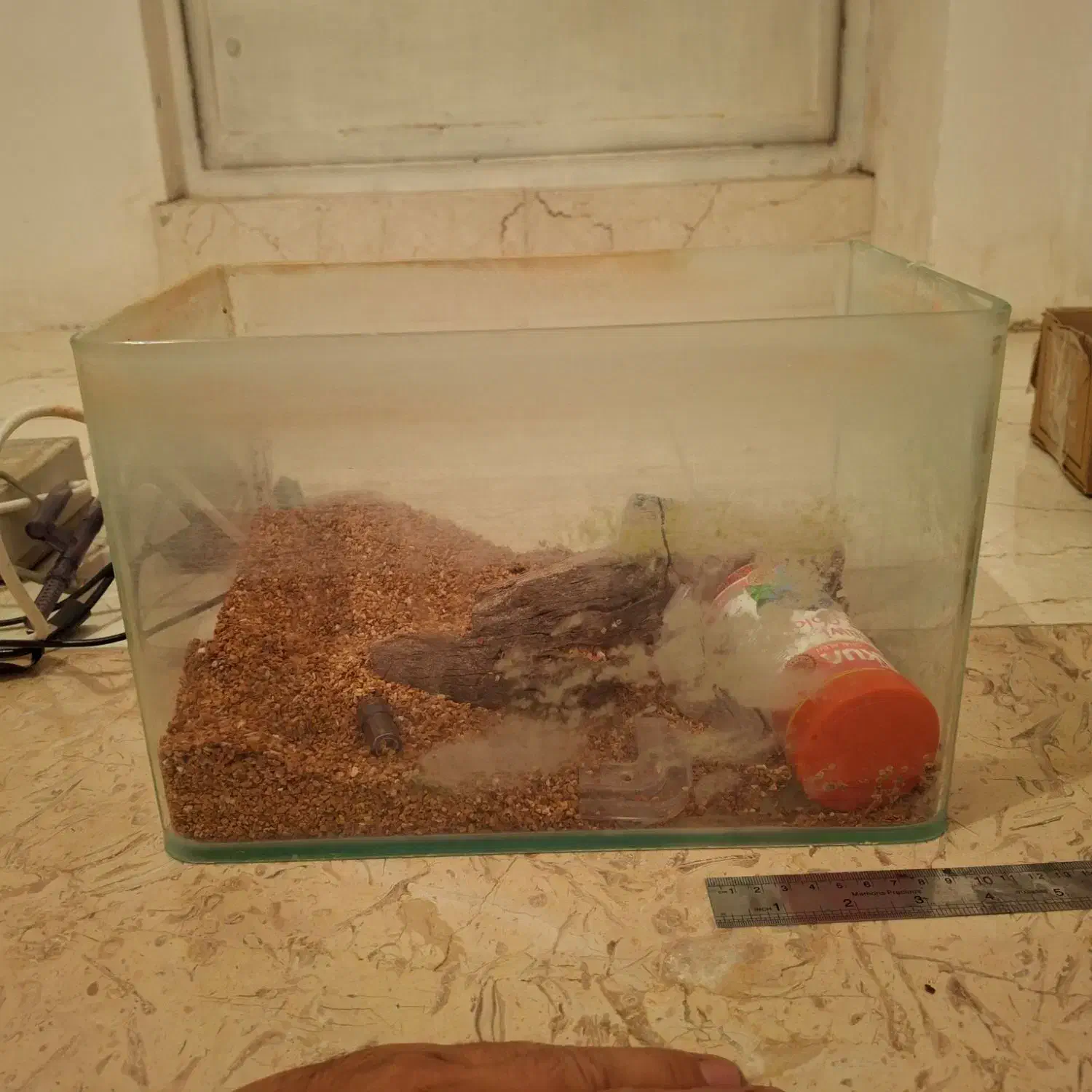 آکواریوم کامل|ماهی|فلاورجان, |دیوار