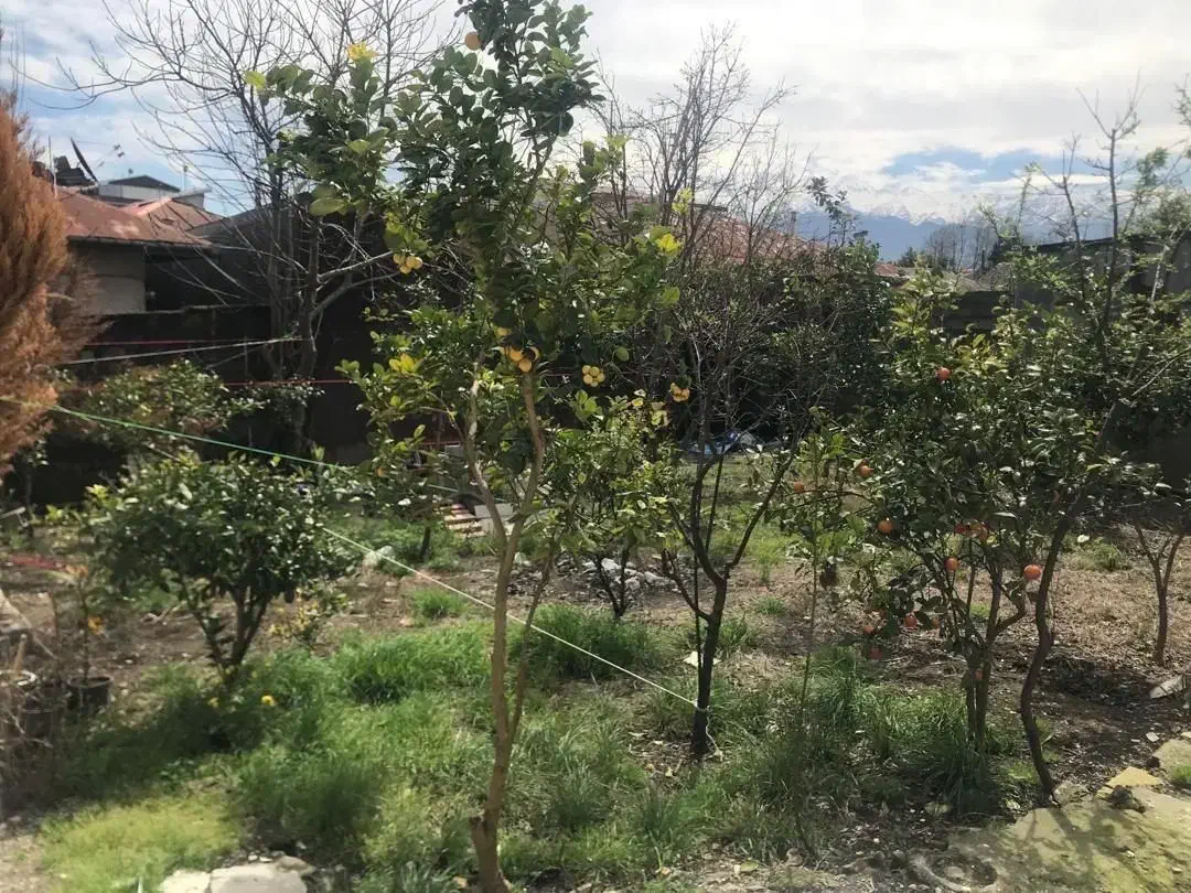 زمین قیمت کاسبی ساحلی کلاچای|فروش زمین و ملک کلنگی|کلاچای, |دیوار