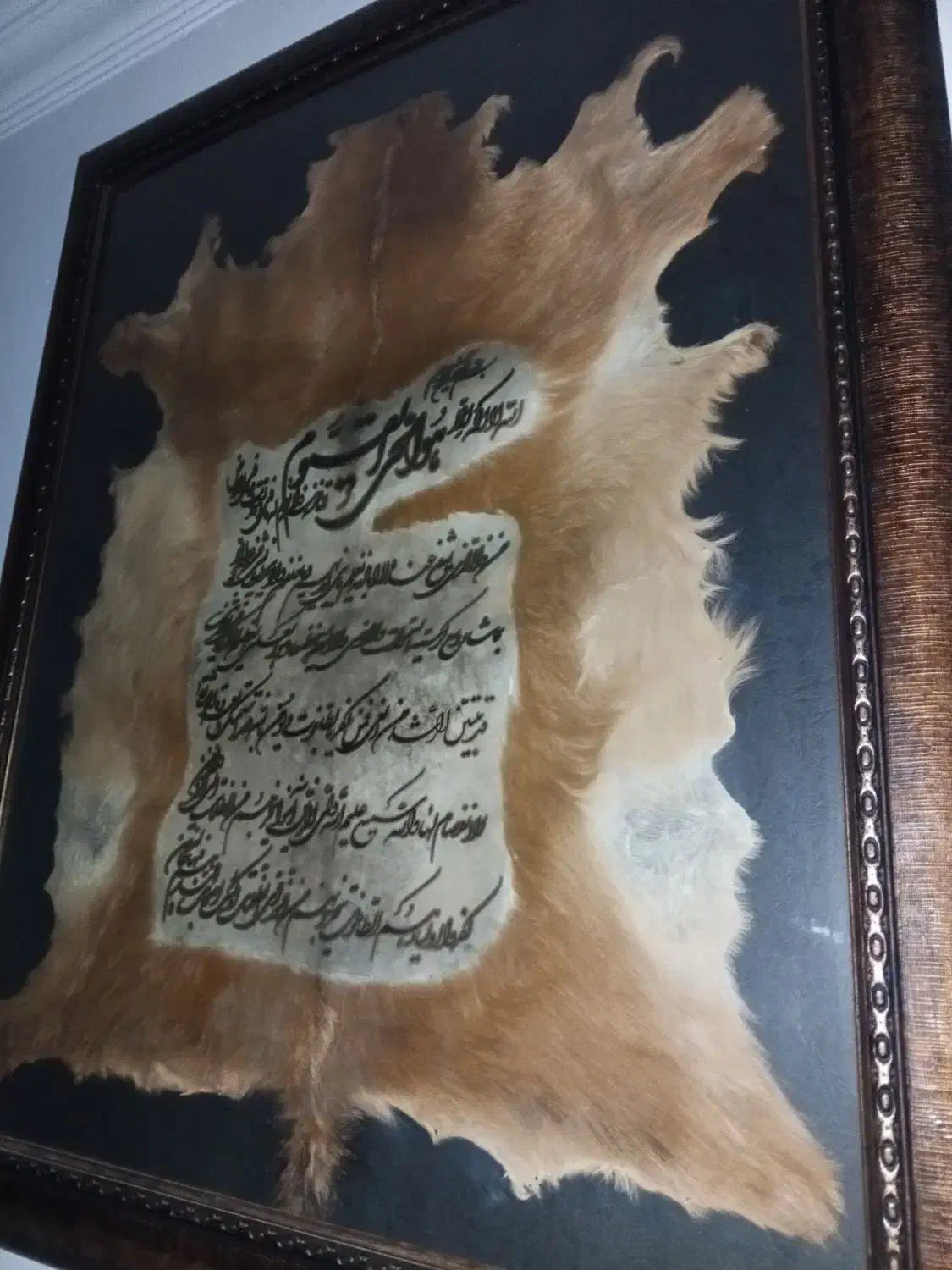 تابلو قرآنی (ان یکادالذین)کاملاپوست واقعی|تابلو، نقاشی، عکس|تهران, تهرانپارس غربی|دیوار