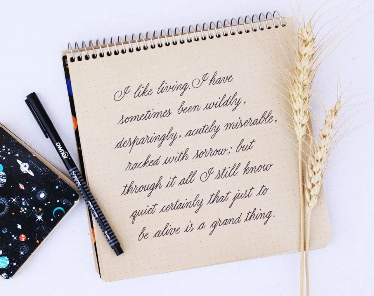 اموزش خط تحریری انگلیسی (قوچان) )|خدمات آموزشی|قوچان, |دیوار