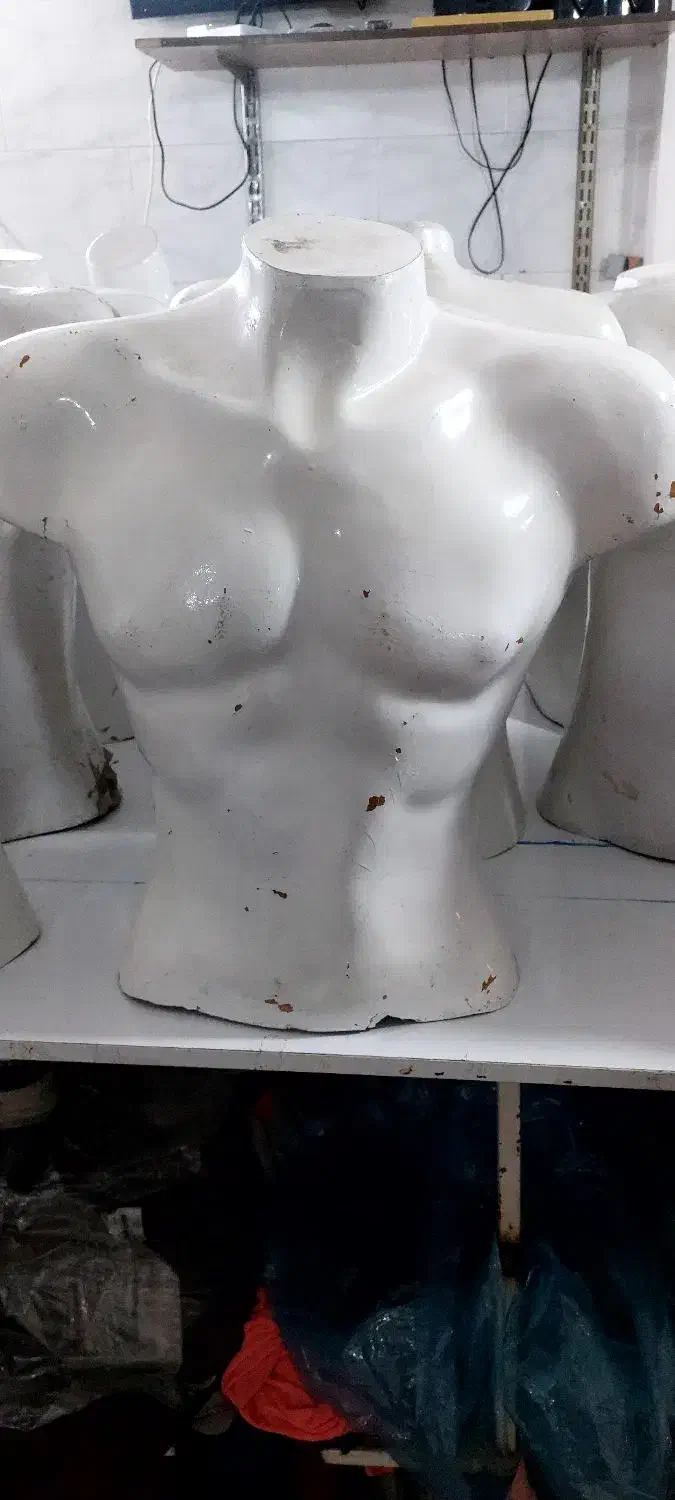 مانکن نیم تنه زنانه و مردانه|فروشگاه و مغازه|مشهد, حسین‌آباد|دیوار