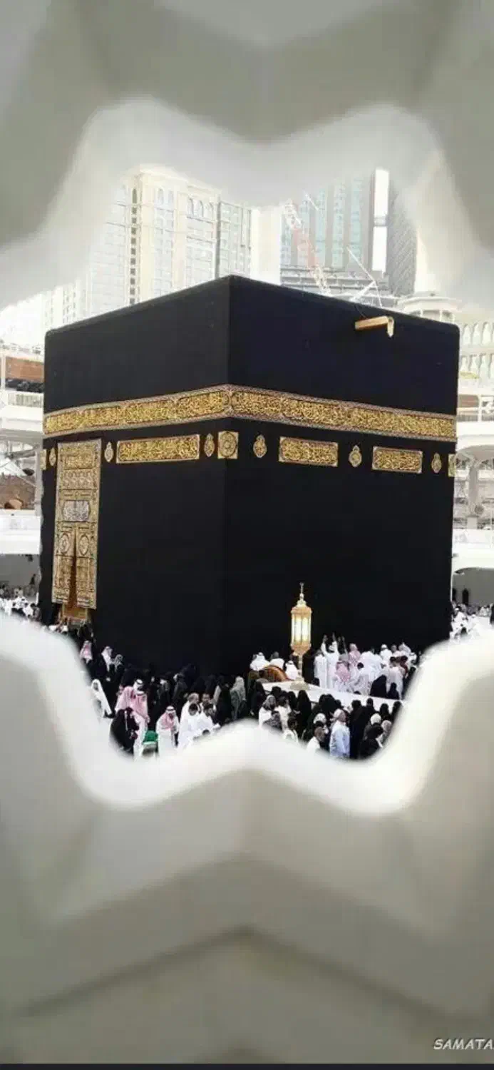 فروش دو فقره فیش حج تمتع مهر ۸۶،آماده اعزام|تور و چارتر|رشت, بلوار گیلان|دیوار