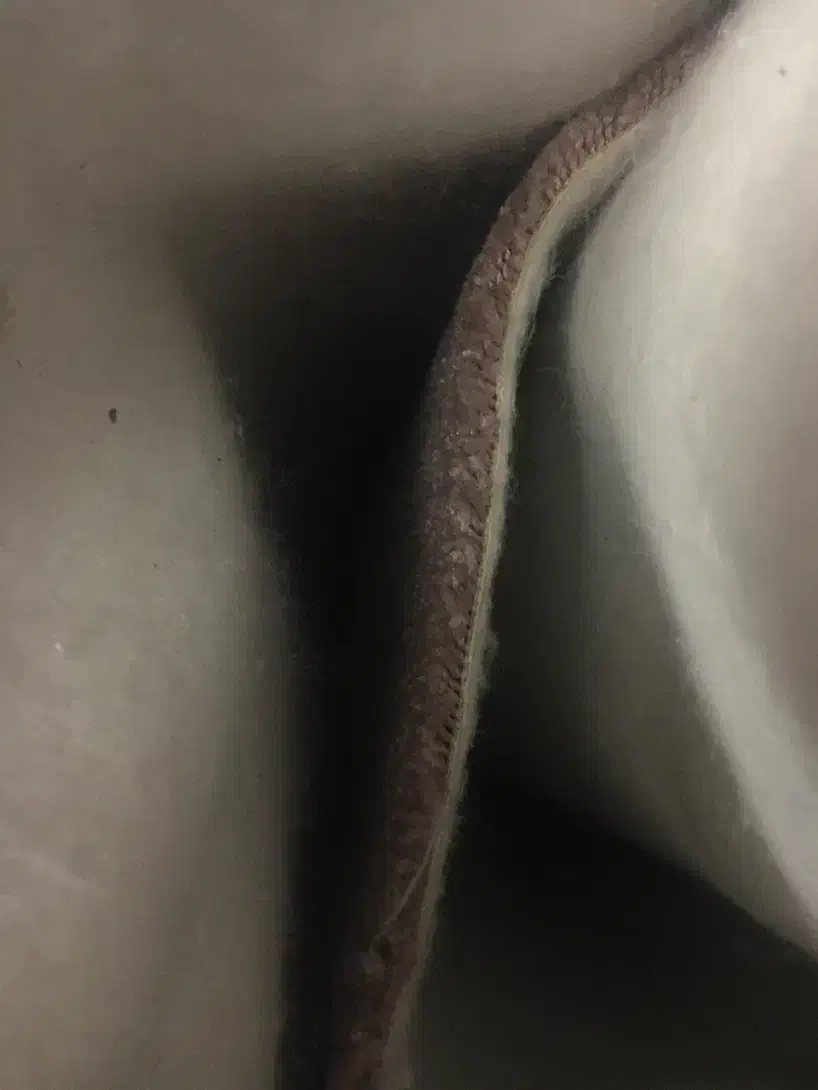 پالاز موکت ۱۲ متری کالباسی|موکت|کرمانشاه, |دیوار