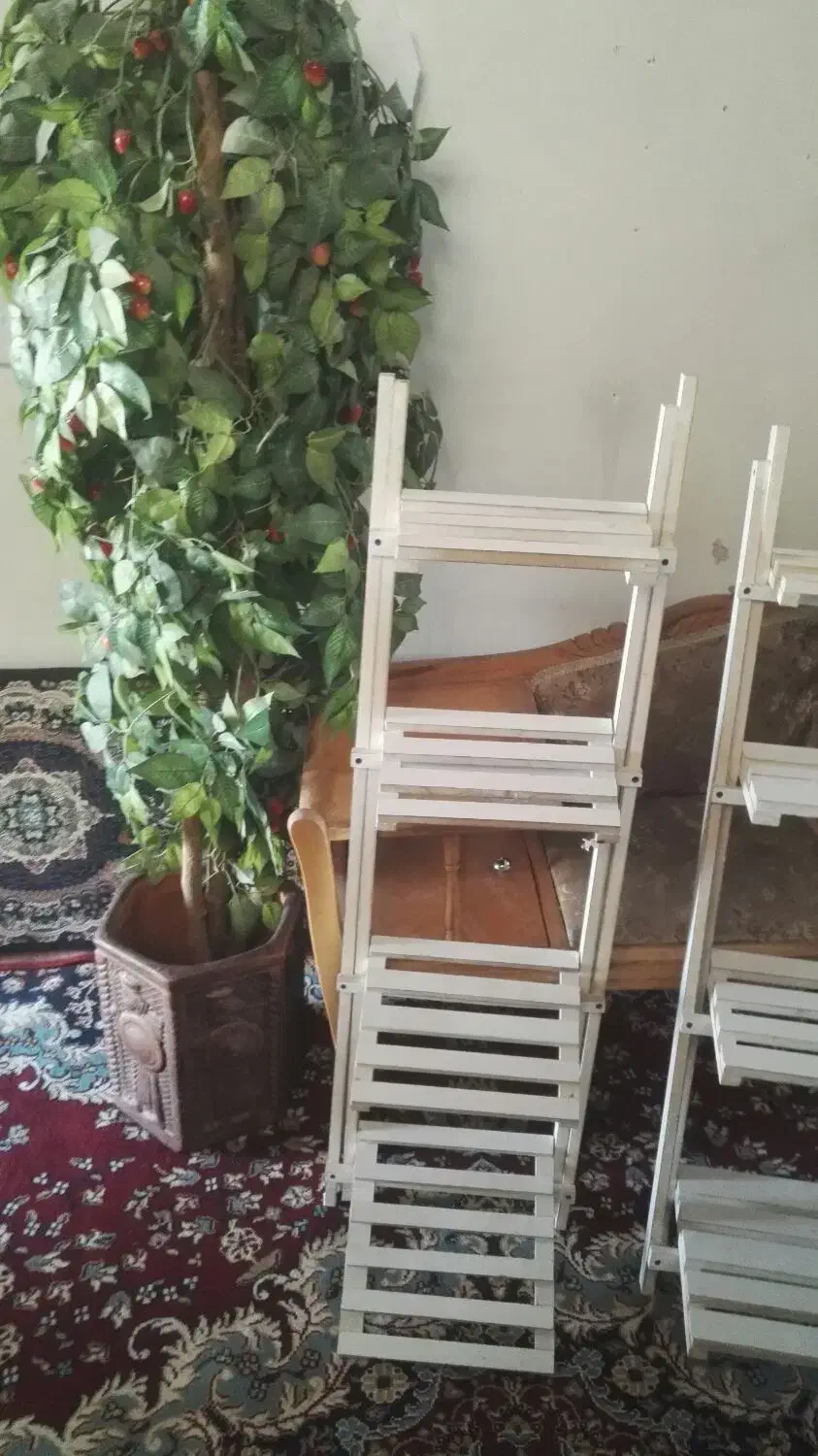 وسایل منزل|گل و گیاه طبیعی|جهرم, |دیوار