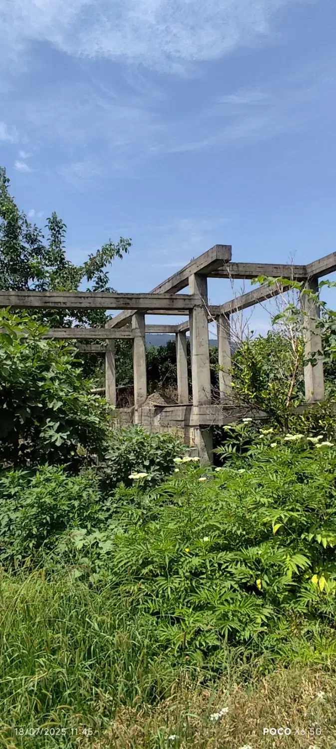 زمین نیمه ساز|فروش زمین و ملک کلنگی|ماکلوان, |دیوار