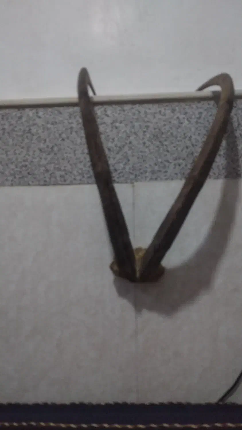 شاخ کل دکوری نربز قوچ کوهی|صنایع دستی و سایر لوازم تزئینی|قم, سراجه (۱۵ خرداد)|دیوار