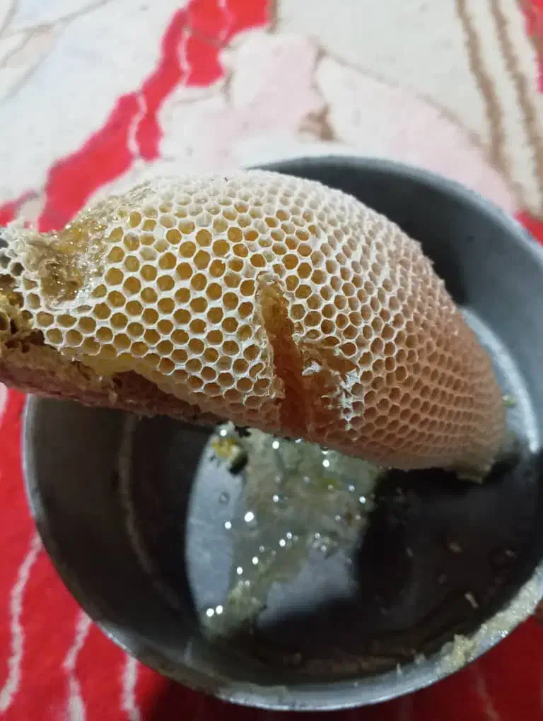 عسل کوهی و کندو|خوردنی و آشامیدنی|لامرد, |دیوار