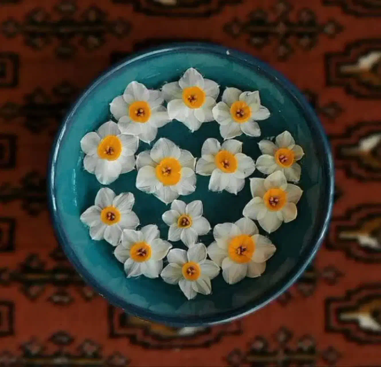 آش وحلیم کاکا (مادر)|خدمات پذیرایی، مراسم|اشکذر, |دیوار