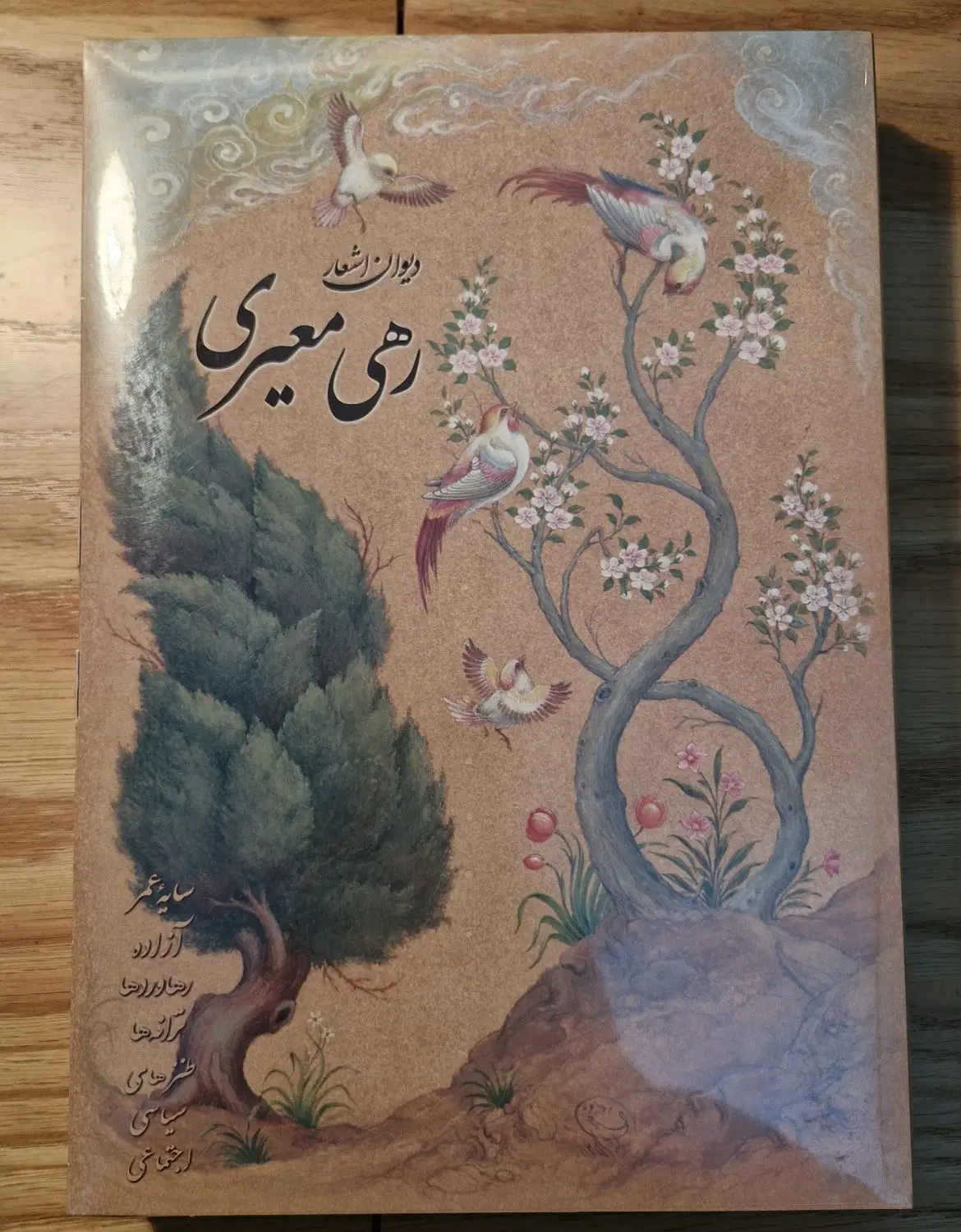 کتاب دیوان اشعار رهی معیری|کتاب و مجله ادبی|تهران, پردیسان|دیوار
