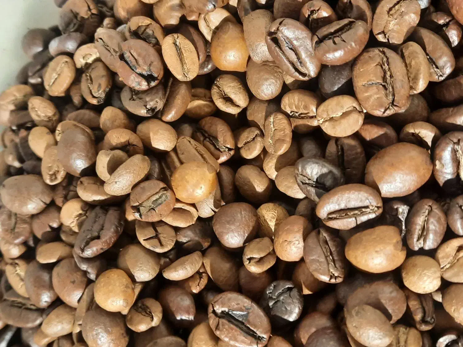 فروش قهوه ۱۵۰|خوردنی و آشامیدنی|مشهد, کوشش|دیوار