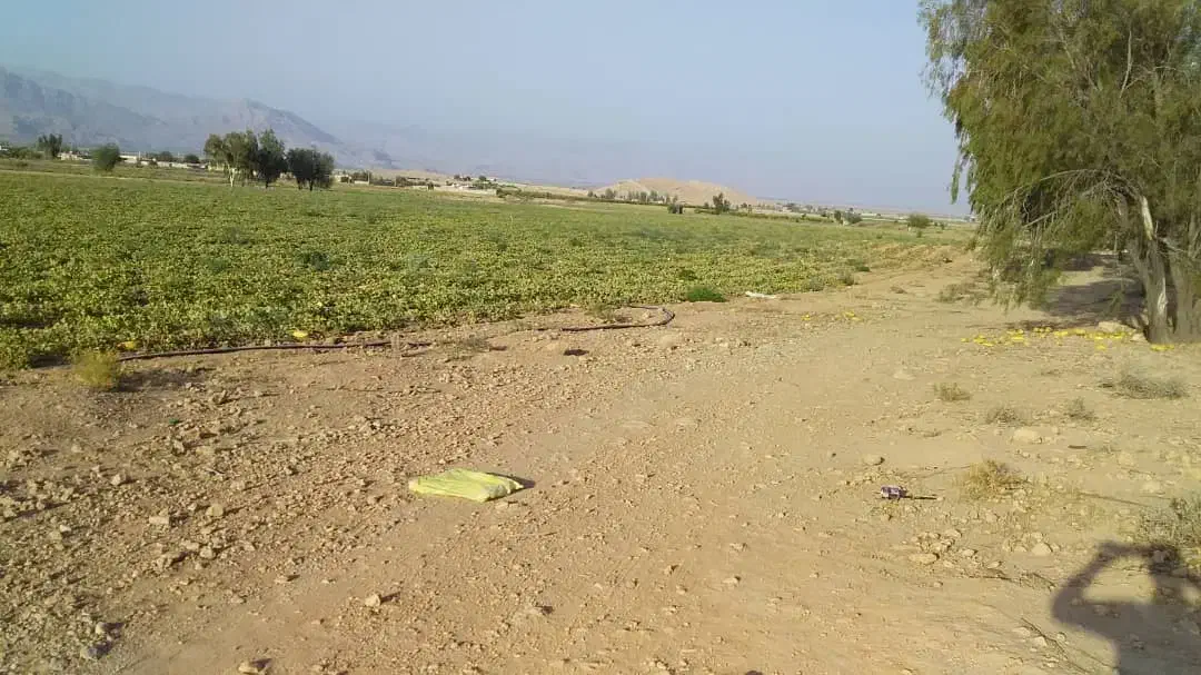اجاره دادن زمین کشاورزی|اجارهٔ دفتر صنعتی، کشاورزی، تجاری|داراب, |دیوار