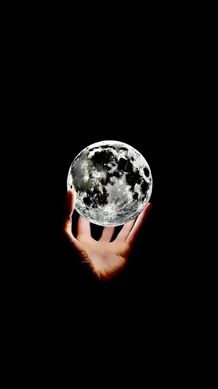 فلش ابی رنگ  گمشده|اشیا|صدرا-فارس, فاز ۱|دیوار