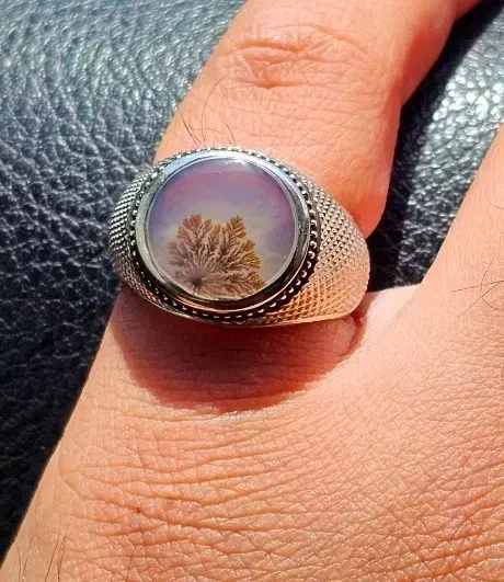 انگشتر فوق کلکسیونی شجر قائن|جواهرات|تهران, آرژانتین|دیوار