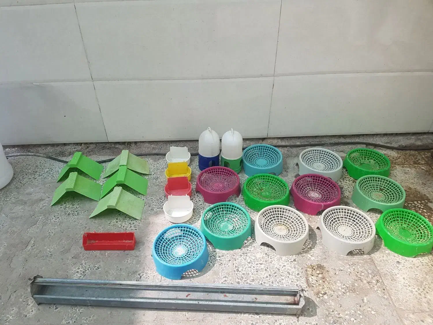 لوازم جانبی کبوتر|لوازم جانبی حیوانات|اهواز, کمپلو جنوبی|دیوار