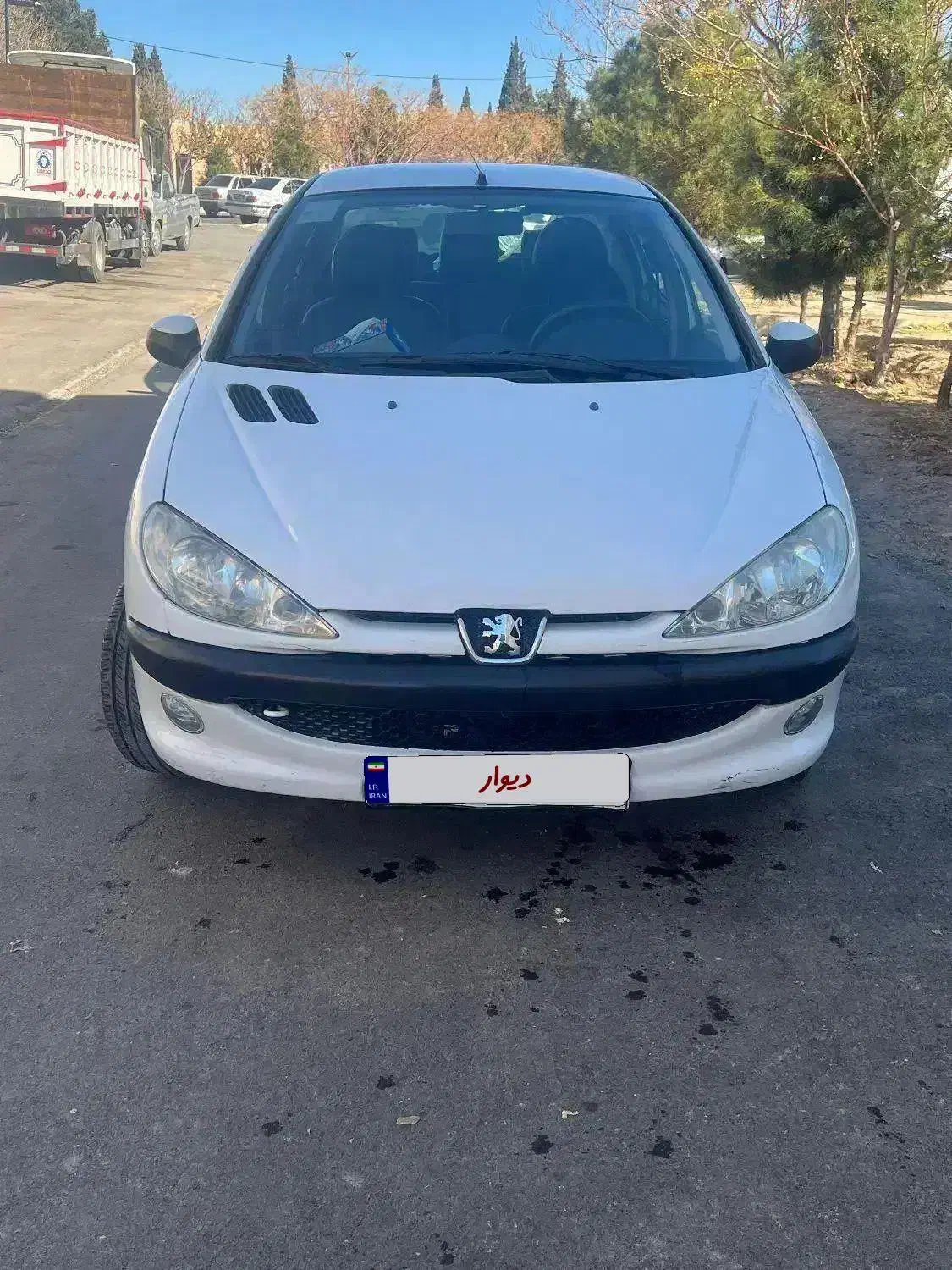 206sd v8|خودرو سواری و وانت|سیرجان, |دیوار