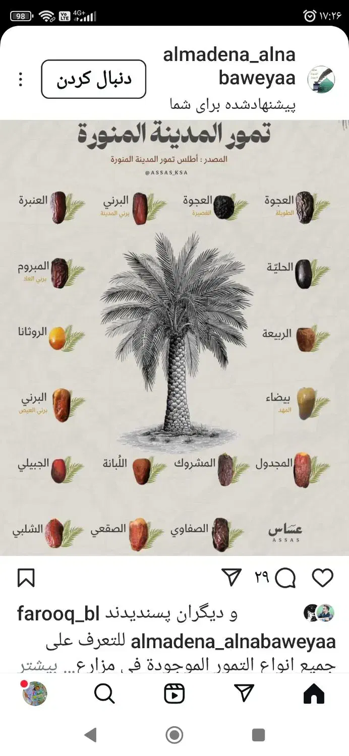 نیازمند کارگر گلخانه|خدمات باغبانی و درختکاری|بم پشت, |دیوار