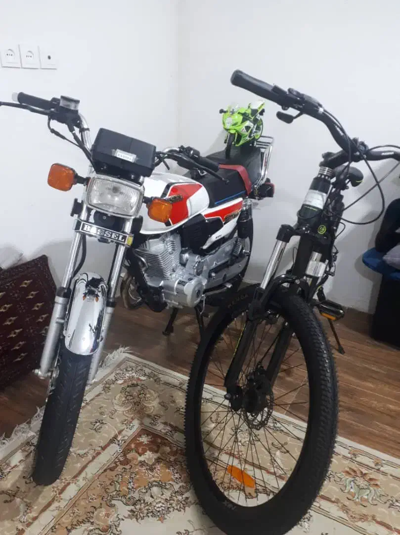 دوچرخه فونیکس|دوچرخه، اسکیت، اسکوتر|آکند, |دیوار