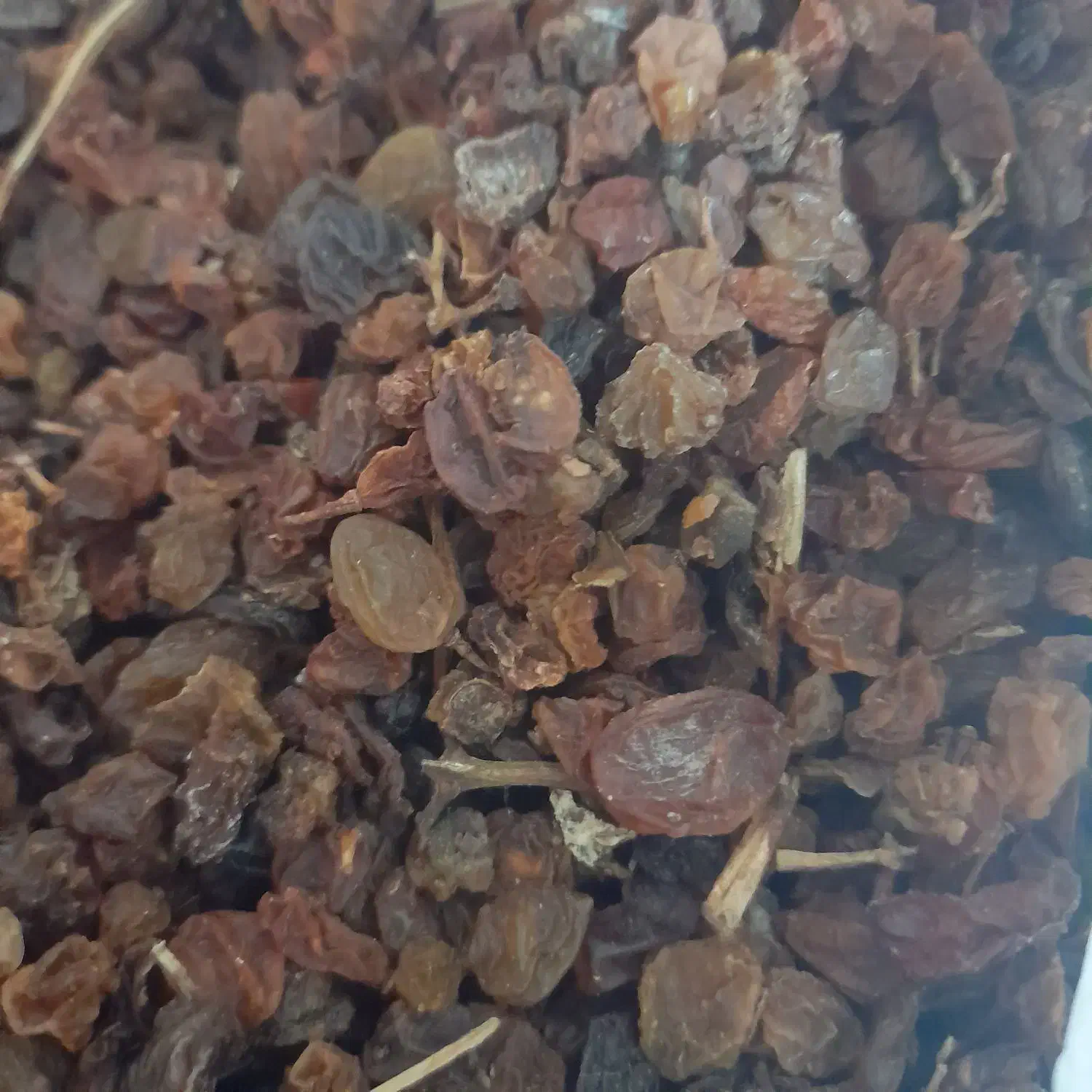 کشمش مخصوص آبگیری|خوردنی و آشامیدنی|لاهیجان, کوی آزادگان|دیوار